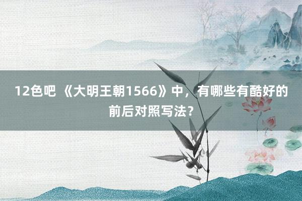 12色吧 《大明王朝1566》中，有哪些有酷好的前后对照写法？