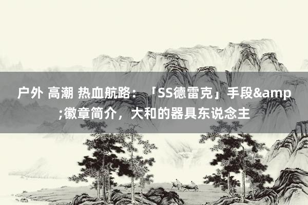 户外 高潮 热血航路：「SS德雷克」手段&徽章简介，大和的器具东说念主