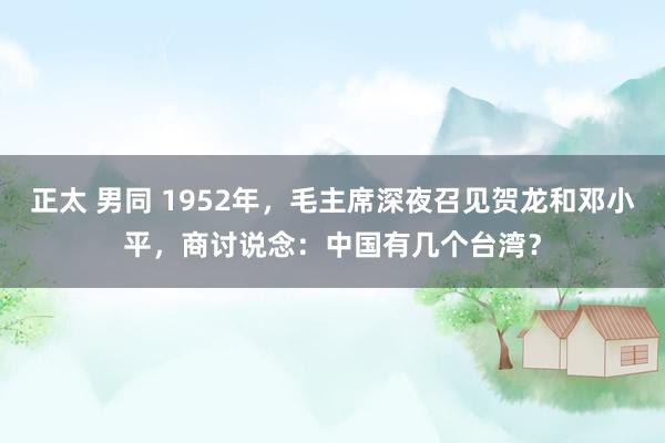 正太 男同 1952年，毛主席深夜召见贺龙和邓小平，商讨说念：中国有几个台湾？