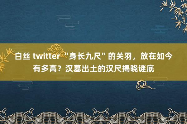 白丝 twitter “身长九尺”的关羽，放在如今有多高？汉墓出土的汉尺揭晓谜底