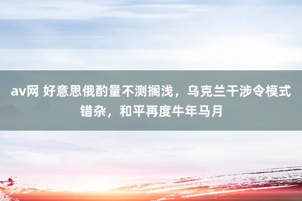 av网 好意思俄酌量不测搁浅，乌克兰干涉令模式错杂，和平再度牛年马月