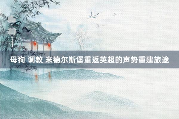 母狗 调教 米德尔斯堡重返英超的声势重建旅途