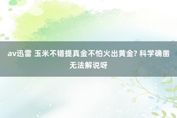 av迅雷 玉米不错提真金不怕火出黄金? 科学确凿无法解说呀