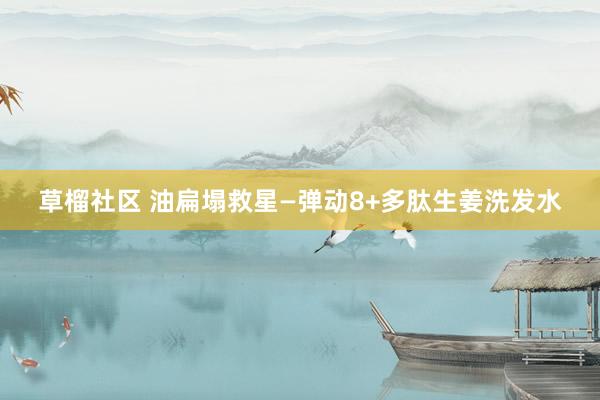 草榴社区 油扁塌救星—弹动8+多肽生姜洗发水