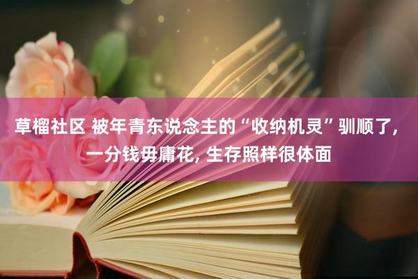 草榴社区 被年青东说念主的“收纳机灵”驯顺了, 一分钱毋庸花, 生存照样很体面