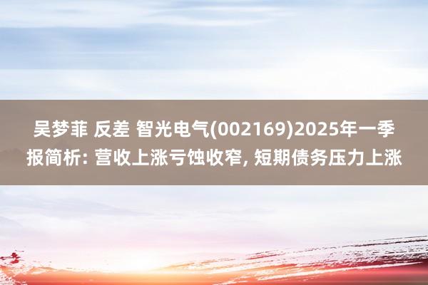 吴梦菲 反差 智光电气(002169)2025年一季报简析: 营收上涨亏蚀收窄, 短期债务压力上涨
