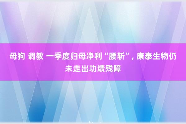母狗 调教 一季度归母净利“腰斩”, 康泰生物仍未走出功绩残障