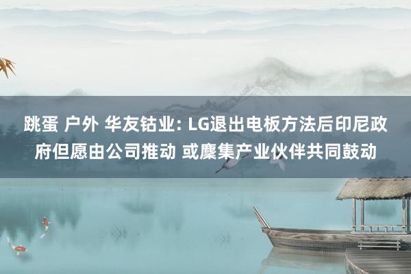 跳蛋 户外 华友钴业: LG退出电板方法后印尼政府但愿由公司推动 或麇集产业伙伴共同鼓动