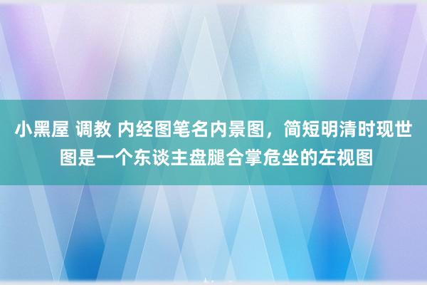 小黑屋 调教 内经图笔名内景图，简短明清时现世 图是一个东谈主盘腿合掌危坐的左视图