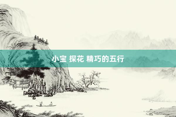 小宝 探花 精巧的五行