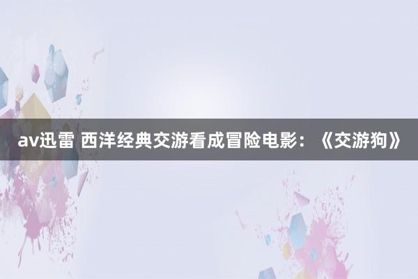 av迅雷 西洋经典交游看成冒险电影：《交游狗》