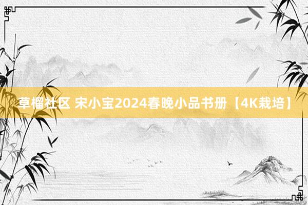 草榴社区 宋小宝2024春晚小品书册【4K栽培】